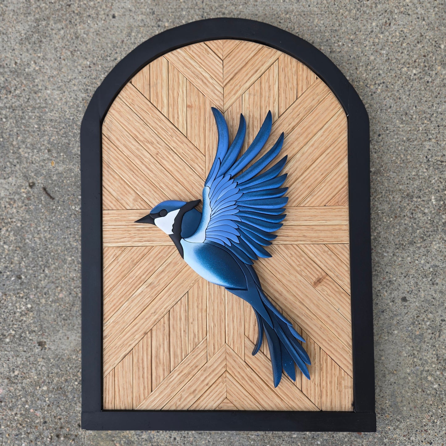 Blue jay
