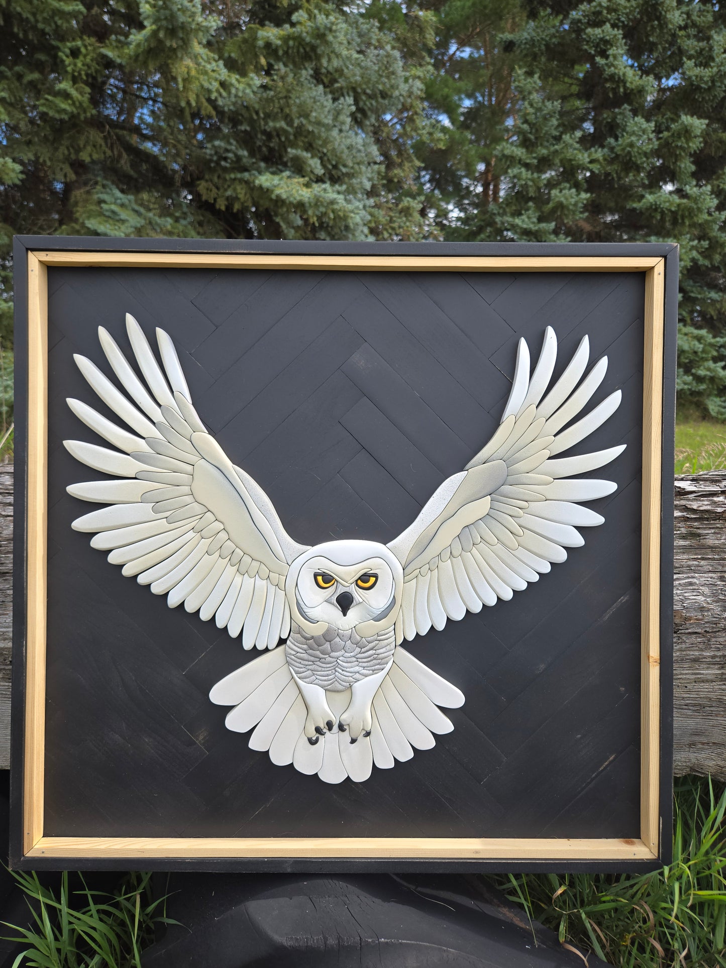Snowy owl