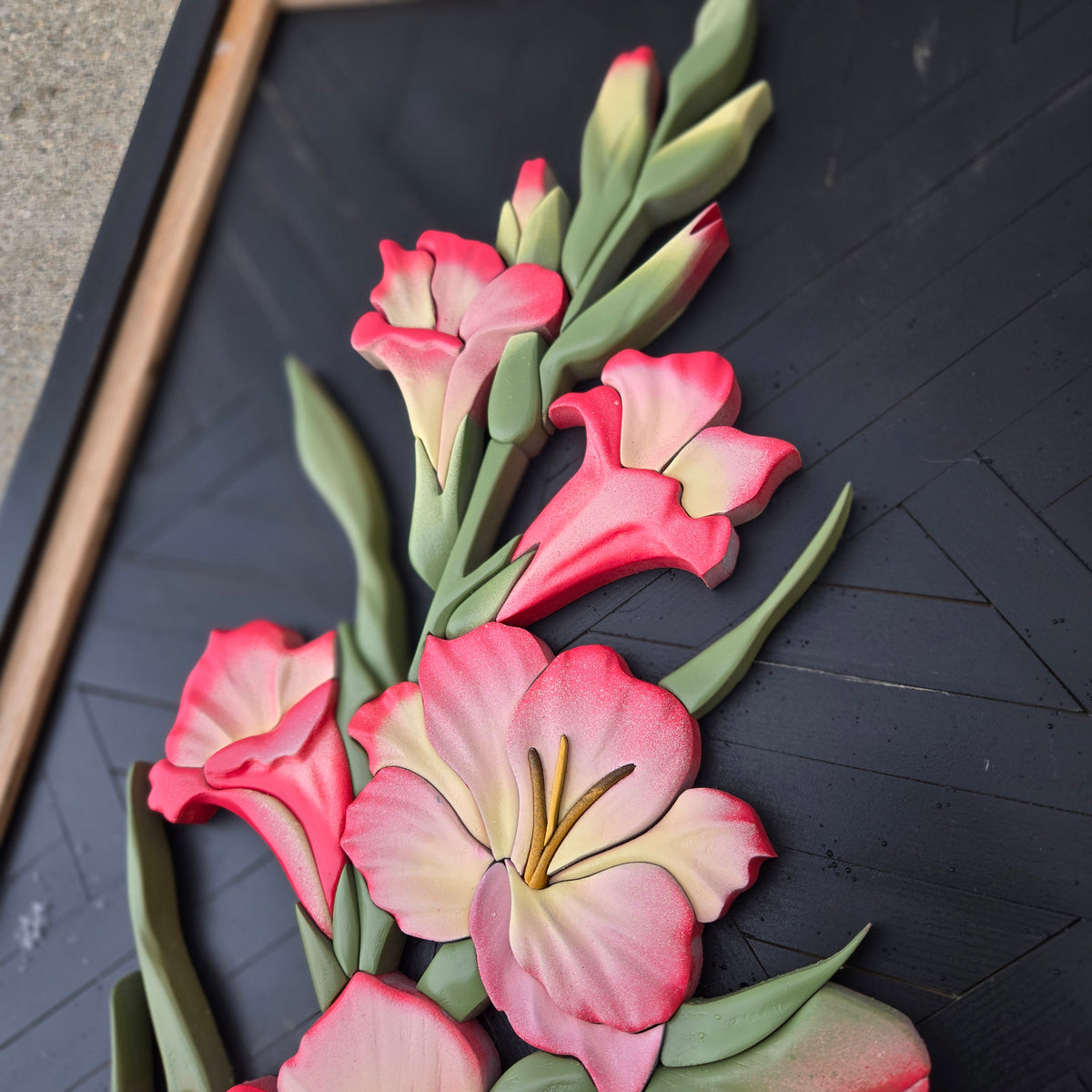 Gladiolus