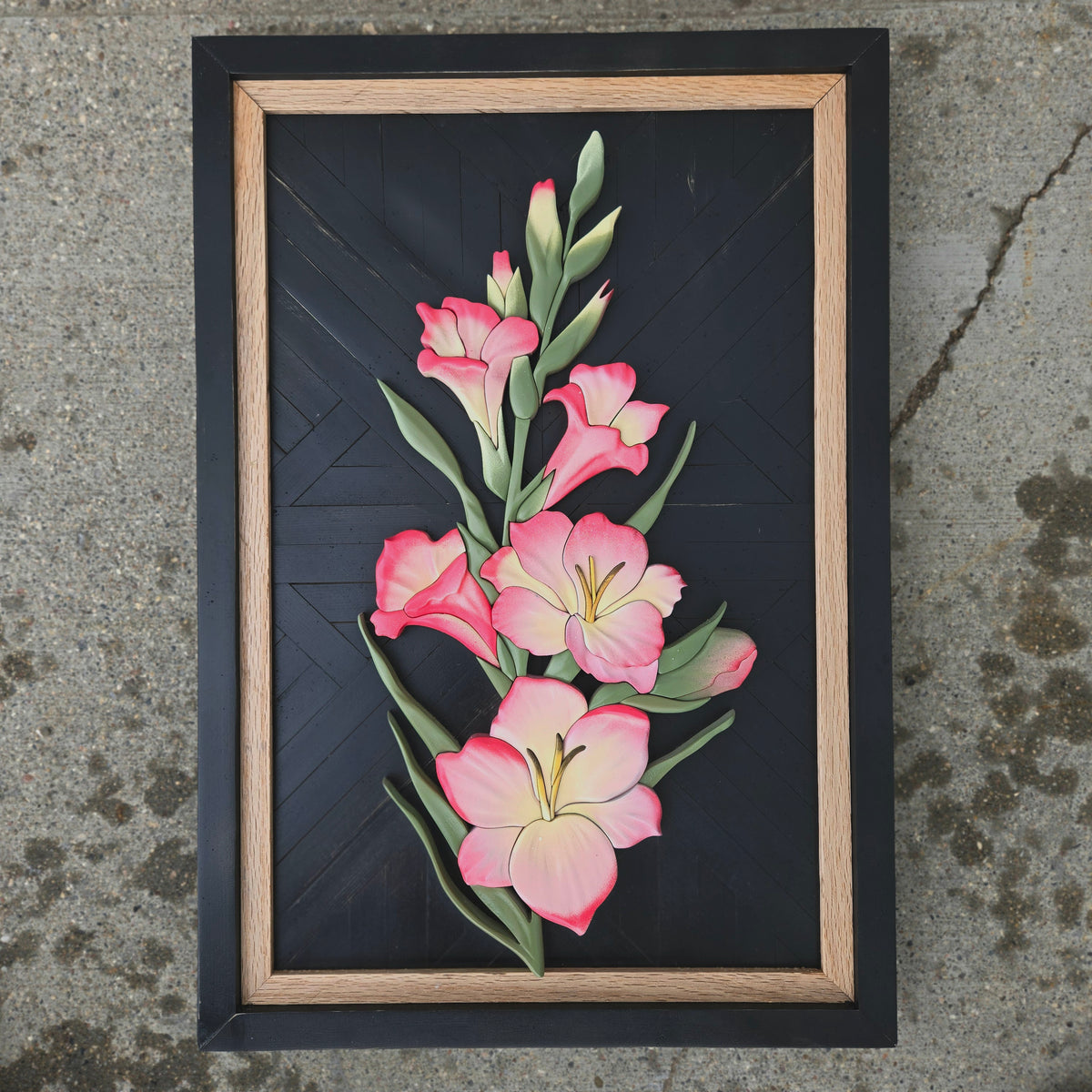 Gladiolus
